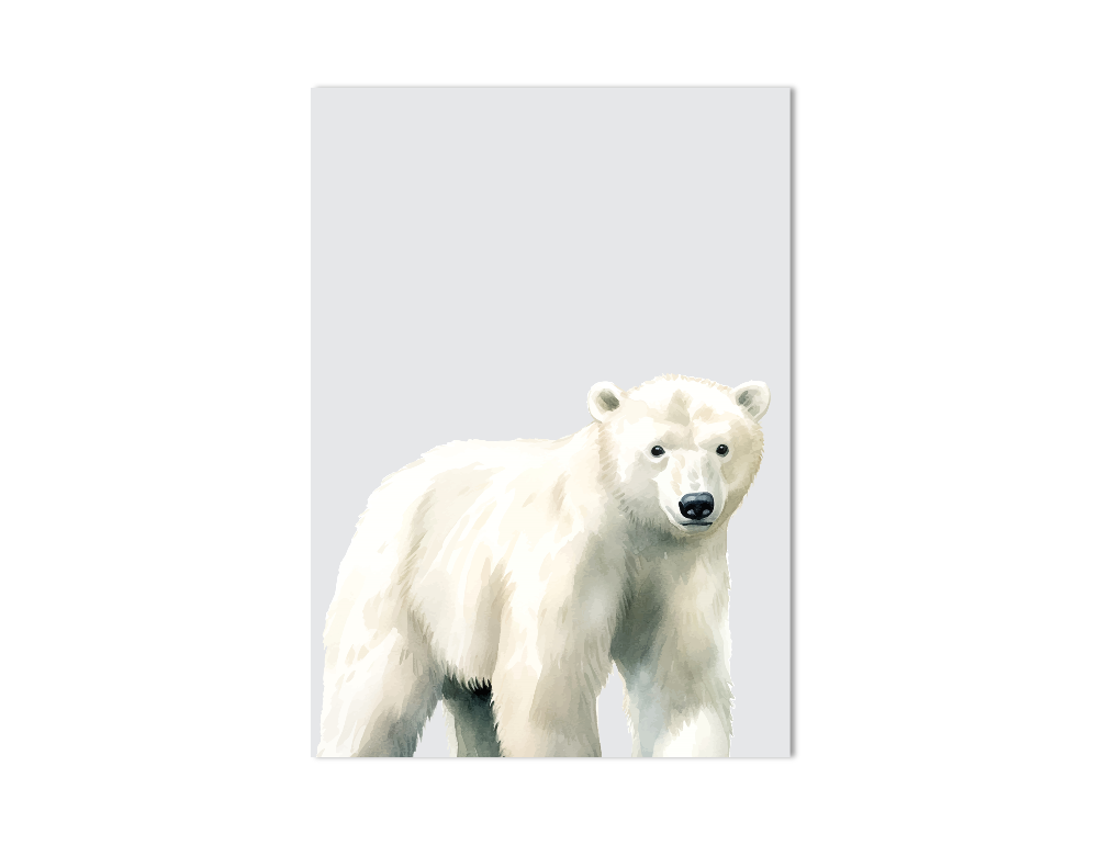 Ijsbeer dierenposter