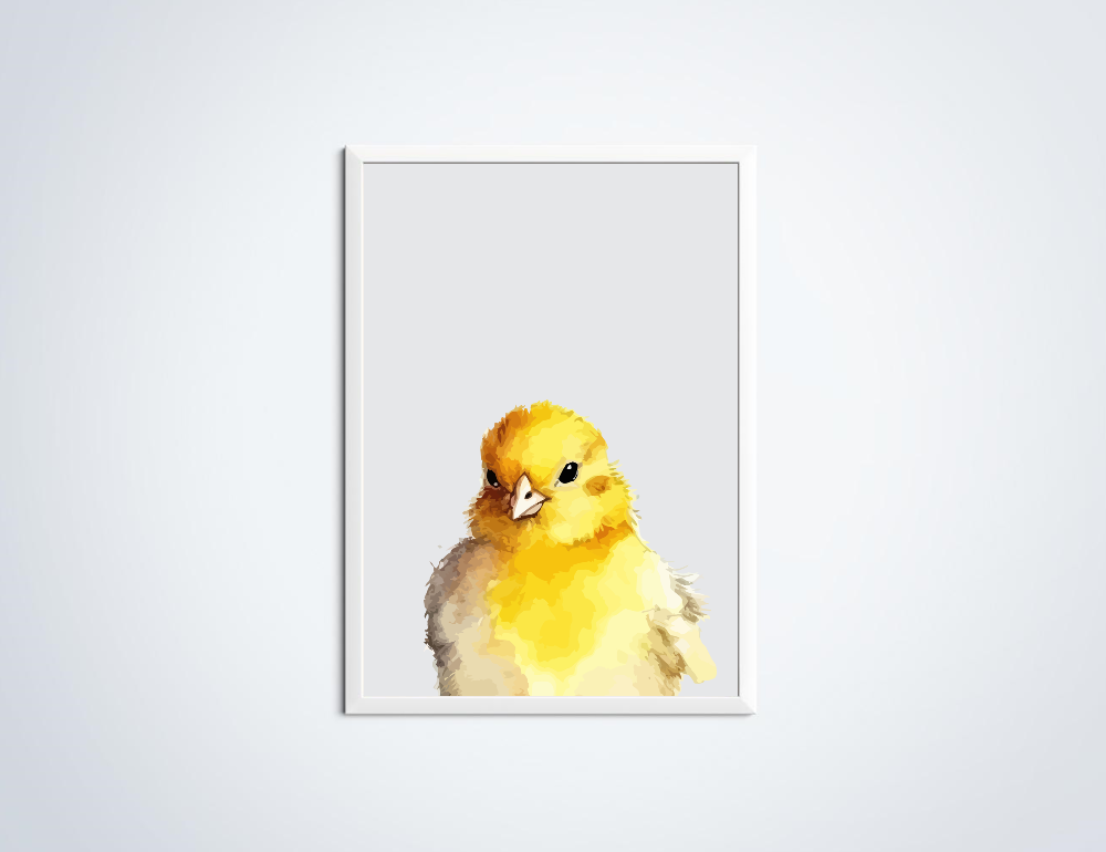 Kuiken dierenposter in lijst