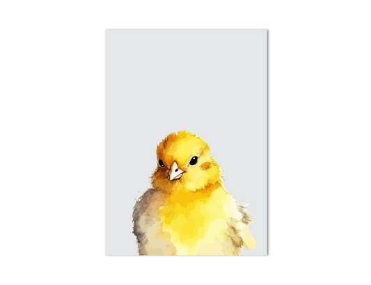 Kuiken dierenposter