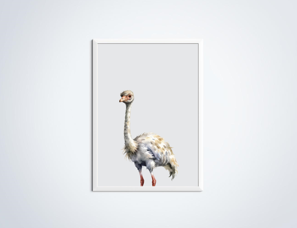 Struisvogel dierenposter in lijst