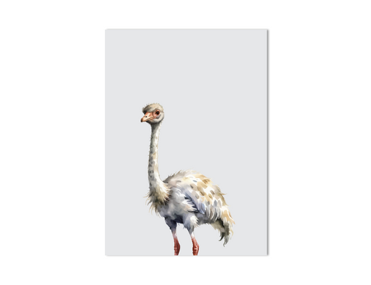 Struisvogel dierenposter