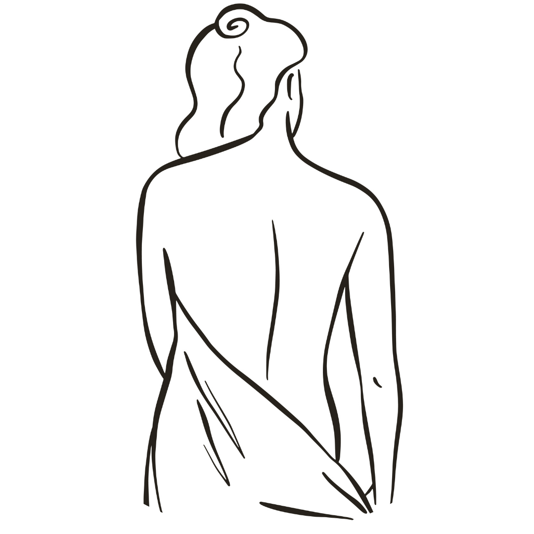 Line Art